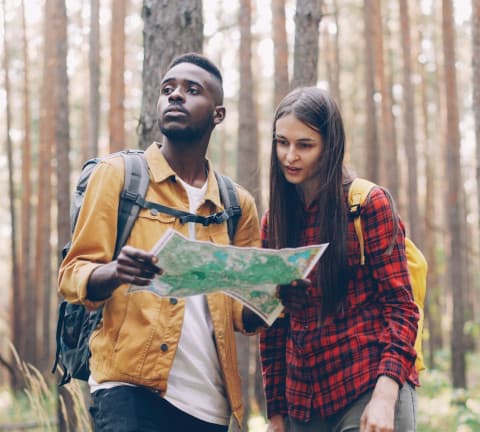 looking at a map image